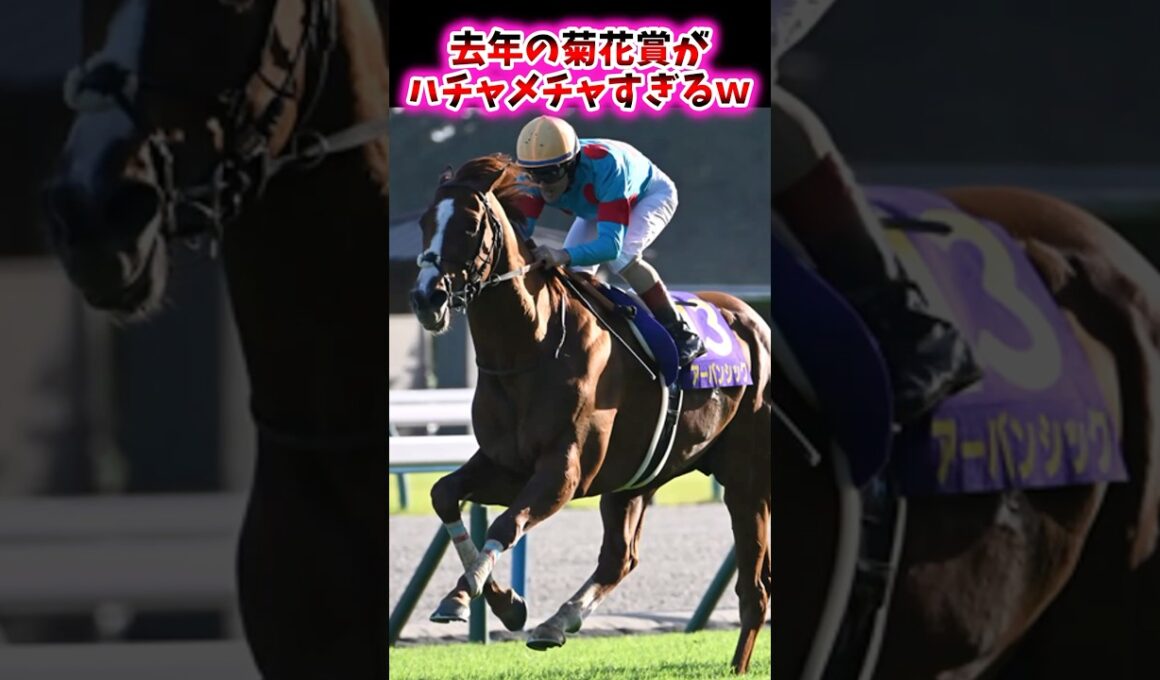 去年の菊花賞がハチャメチャすぎるw【競馬反応集】 #菊花賞 #アーバンシック #ダノンデサイル