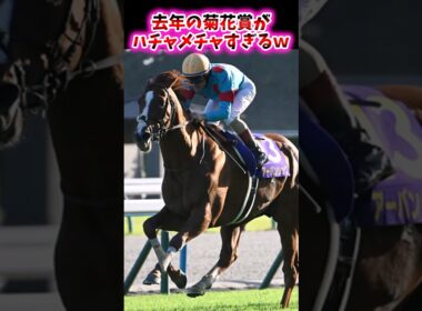 去年の菊花賞がハチャメチャすぎるw【競馬反応集】 #菊花賞 #アーバンシック #ダノンデサイル