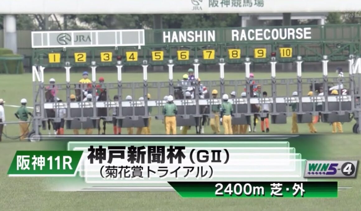 阪神11R 第73回神戸新聞杯（GⅡ） 〈菊花賞トライアル〉