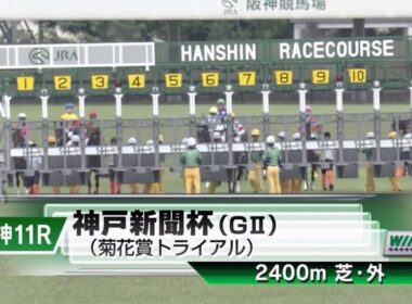 阪神11R 第73回神戸新聞杯（GⅡ） 〈菊花賞トライアル〉