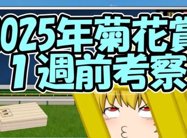 菊花賞1週前考察(再うｐ)