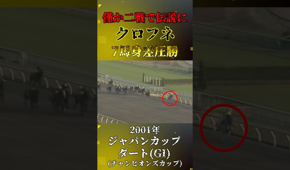クロフネ【2001年ジャパンカップダート(GI)】#競馬 #shorts #ジャパンカップダート #チャンピオンズカップ #クロフネ