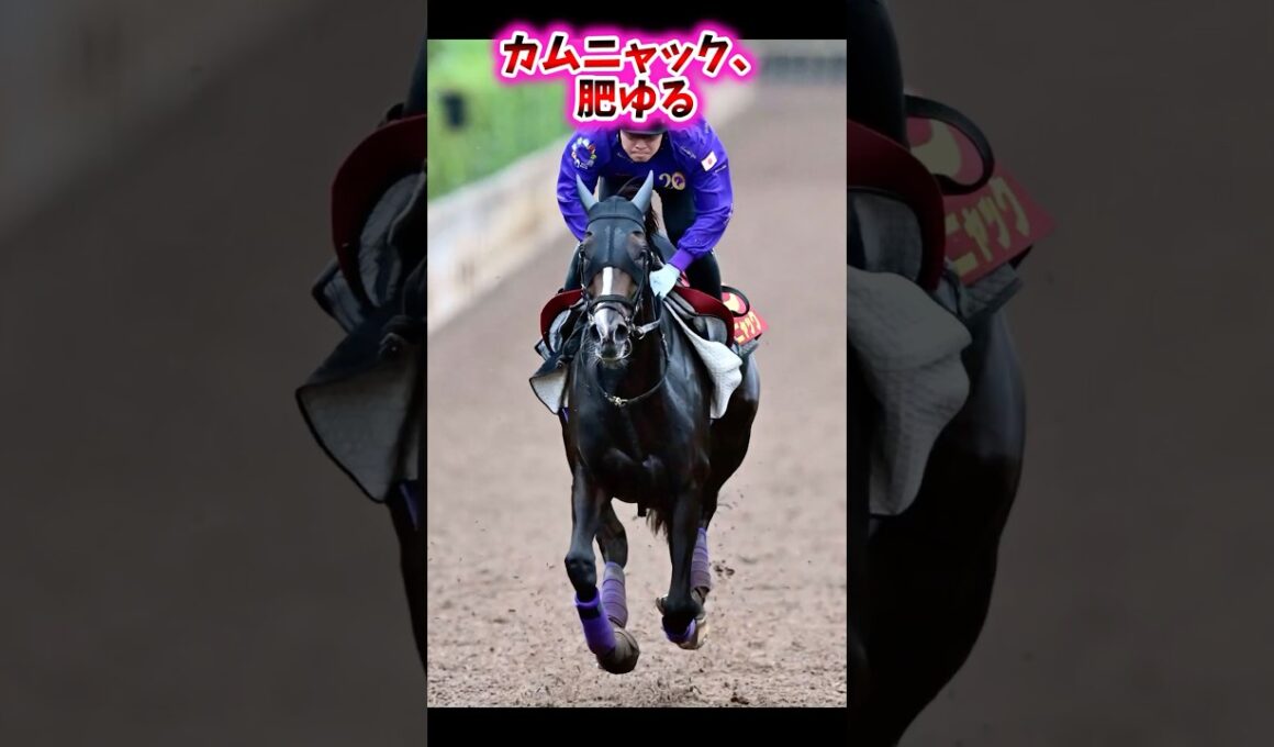 カムニャック、肥ゆる【競馬反応集】 #カムニャック #秋華賞