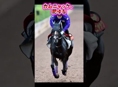 カムニャック、肥ゆる【競馬反応集】 #カムニャック #秋華賞