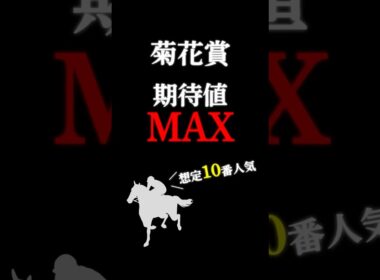 【菊花賞2025】最も期待値の大きい穴馬！ #競馬 #競馬予想 #jra #穴馬予想 #菊花賞 #菊花賞2025 #菊花賞2025予想 #ミラージュナイト #shorts