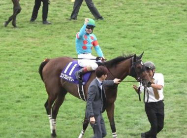 【現地】2025 G1 秋華賞 エンブロイダリー C.ルメール 牝馬2冠達成【生ファンファーレ 京都競馬場】