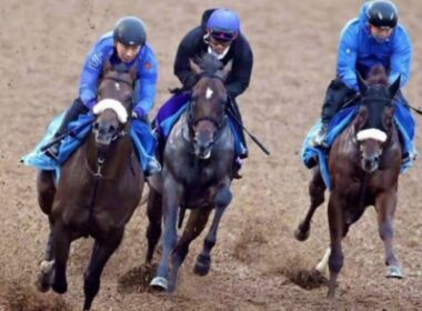 【菊花賞・１週前】アマヒキが約半馬身遅れも意欲的に負荷　国枝調教師「グイグイというタイプではないので」