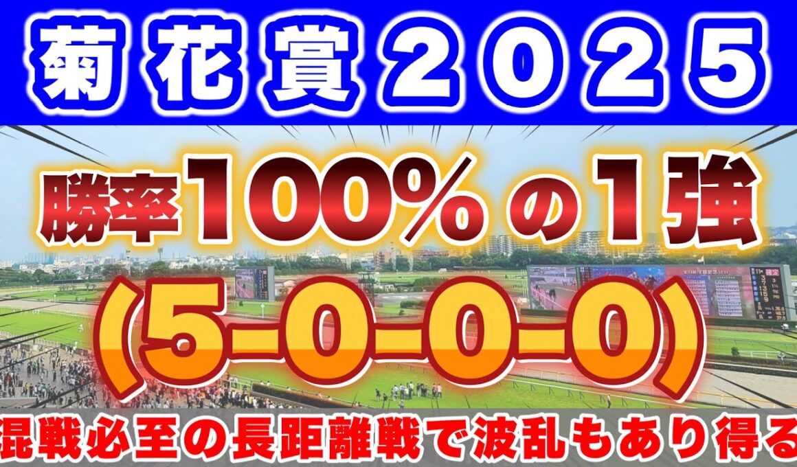 【菊花賞2025】混戦必至の菊花賞でデータ的に頭一つ抜けているのはこの馬！