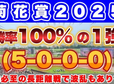 【菊花賞2025】混戦必至の菊花賞でデータ的に頭一つ抜けているのはこの馬！