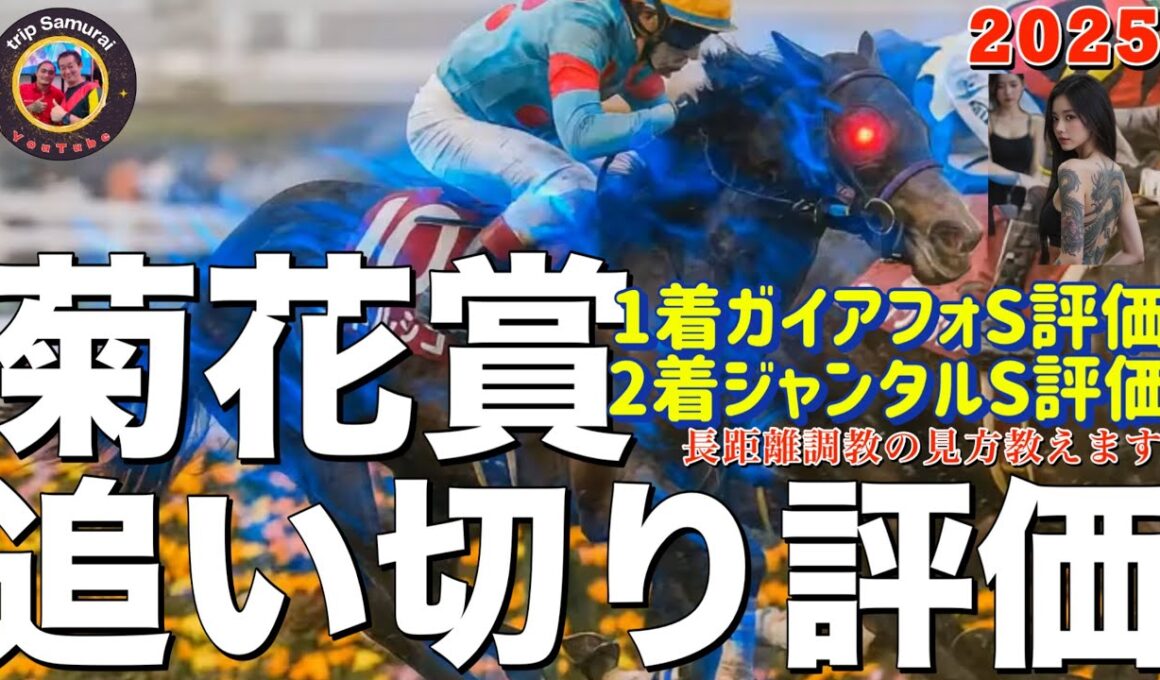 🎯【 菊花賞 2025 】追い切り評価 | 神戸新聞杯からはショウヘイ、ジョバンニ、ライトトラック、マイユニバース武騎手騎乗に注意ですね！S評価はずば抜けた１週前追い切りですが、地力が通用するか⁉️