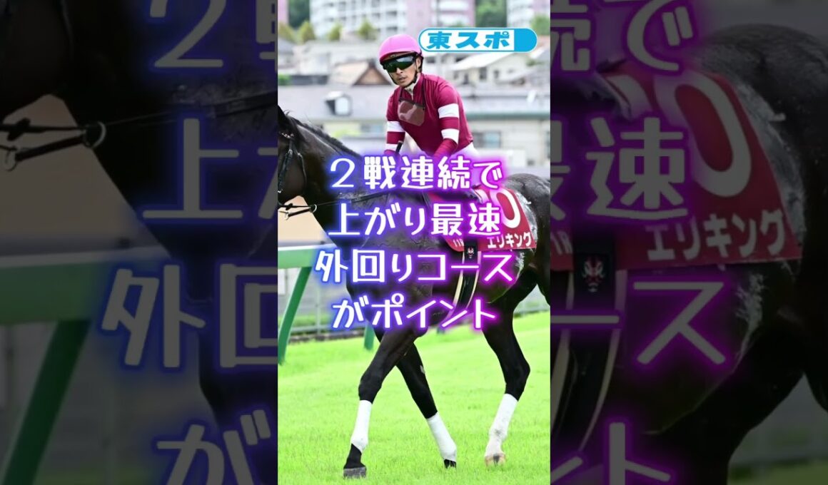 【やっぱり当たる新理論・三柱馬券＝菊花賞編】