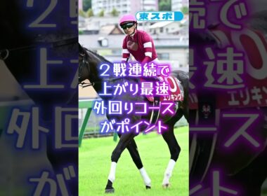 【やっぱり当たる新理論・三柱馬券＝菊花賞編】