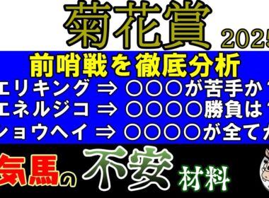 菊花賞2025人気上位3頭の中でエリキングが長丁場で楽観視できない訳は？エリキングｖｓエネルジコｖｓショウヘイの対決！それぞれ菊花賞の長丁場をこなせることはできるか？