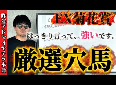【競馬予想】菊花賞、強い穴馬見つけました。
