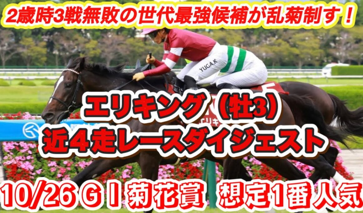 【エリキング】G I菊花賞想定1番人気！前哨戦勝利の2歳時3戦無敗素質馬の近4走レースダイジェスト