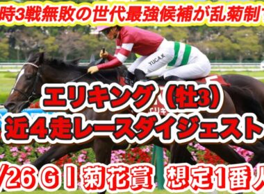 【エリキング】G I菊花賞想定1番人気！前哨戦勝利の2歳時3戦無敗素質馬の近4走レースダイジェスト