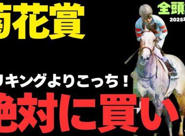【菊花賞2025】エリキングに不安あり！新時代のステイヤー候補は誰だ？【競馬予想】