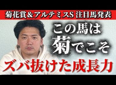 【菊花賞2025】遂にあの馬がポテンシャルを発揮できる舞台になりました
