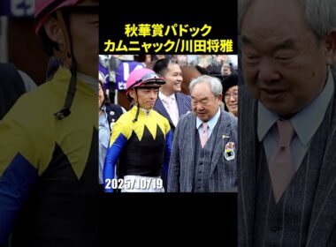 カムニャック騎乗の川田将雅騎手の秋華賞パドック登場シーン #川田将雅 #秋華賞 #現地映像 #競馬 #shorts
