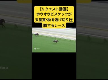 【リクエスト動画】2024年の天皇賞・秋、ホウオウビスケッツが逃げ切りで圧勝するレース #ai #競馬 #天皇賞秋 #ホウオウビスケッツ #実況中継