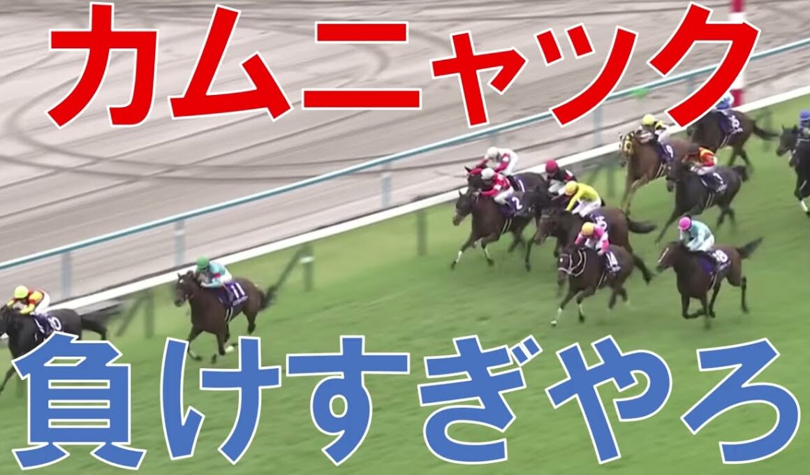 秋華賞 2025 結果 レース回顧 カムニャックが負けた理由