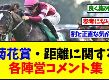 菊花賞・距離に関する各陣営コメント【反応集】