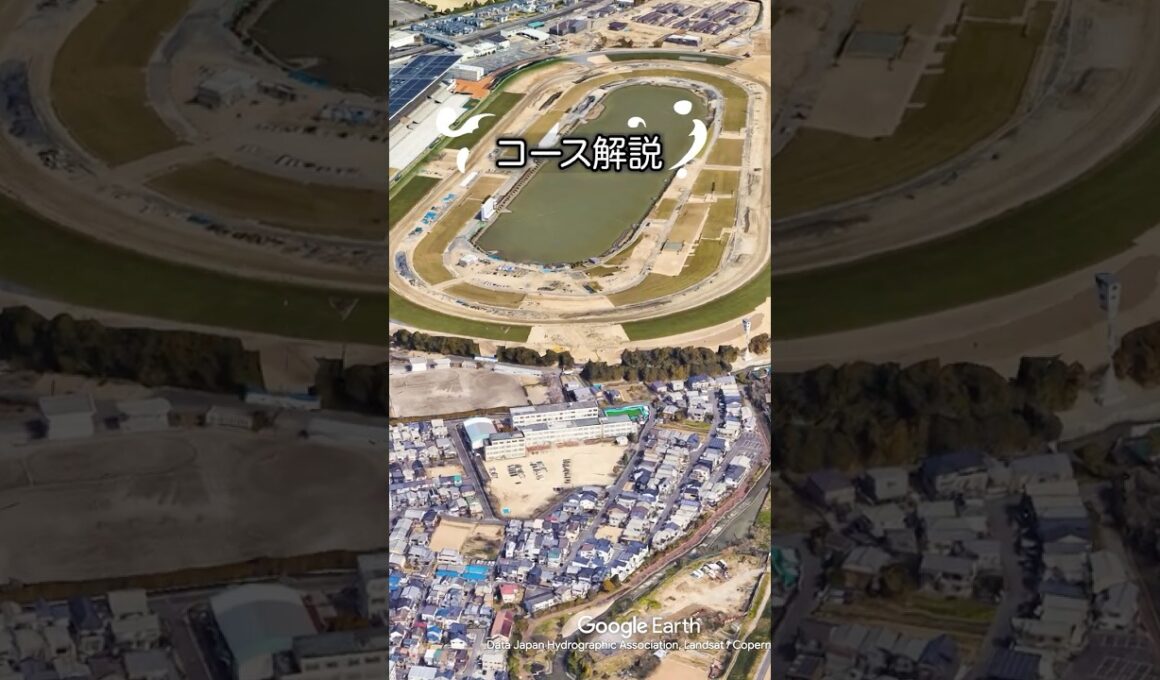 【菊花賞2025】菊花賞コース解説！#競馬 #菊花賞2025 #菊花賞 #shorts