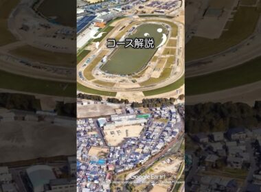 【菊花賞2025】菊花賞コース解説！#競馬 #菊花賞2025 #菊花賞 #shorts