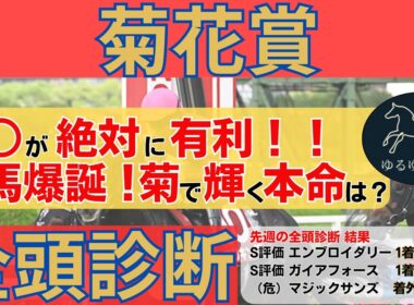 【菊花賞2025 全頭診断】上位人気馬を脅かすS評価の伏兵爆誕！絶対的に○○が有利になる理由とは？