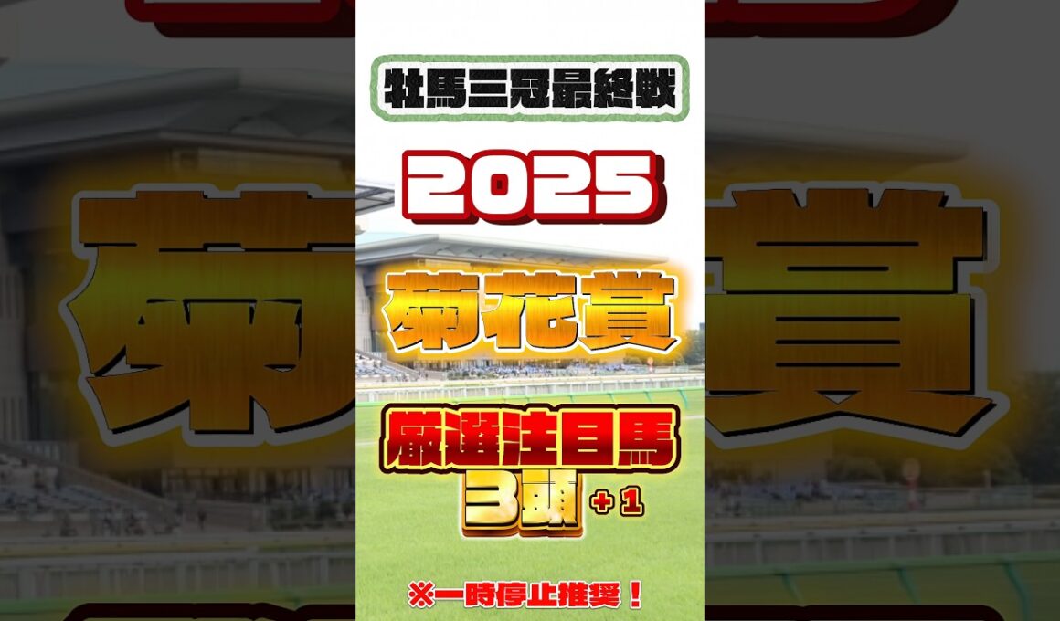 2025 菊花賞 厳選注目馬３頭＋１ #競馬 #菊花賞