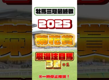 2025 菊花賞 厳選注目馬３頭＋１ #競馬 #菊花賞