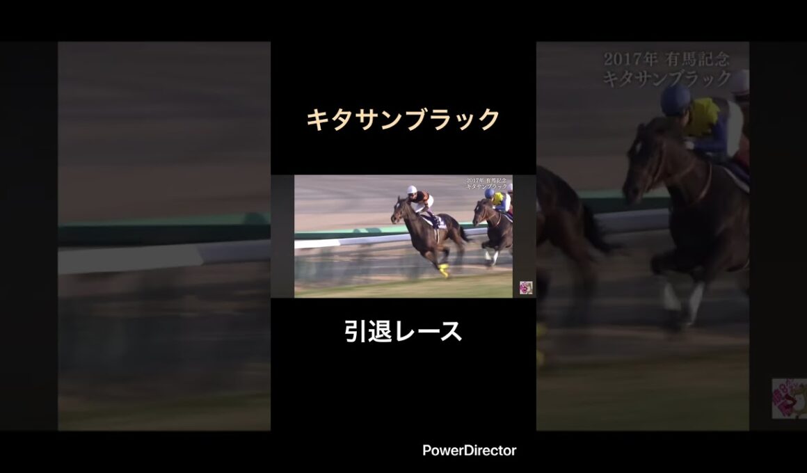 キタサンブラック引退レース　有馬記念　#競馬  #競馬予想 #有馬記念