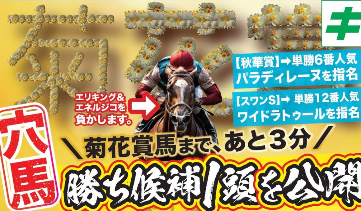 菊花賞 2025【穴馬/予想】「☆超新星」が夢を掴む！打倒エリキング＆エネルジコ！