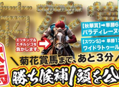 菊花賞 2025【穴馬/予想】「☆超新星」が夢を掴む！打倒エリキング＆エネルジコ！