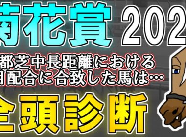 【菊花賞2025 全頭診断】スタミナ血統と京都に合う血統を併せ持つ馬を探せ！今年は前走条件戦組の判断がポイントに…？ ～血統×タイム分析×レース回顧で見る全頭診断～【リュウタロウ/競馬Vtuber】