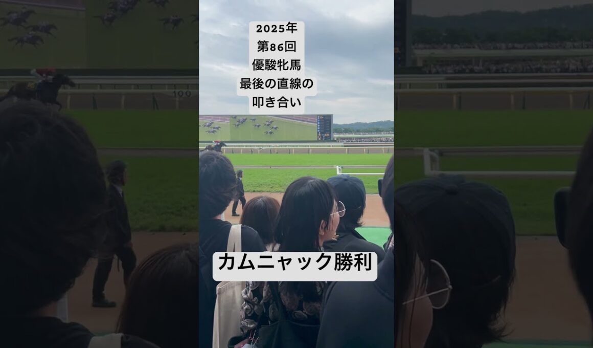 第86回優駿牝馬 直線の叩き合い#2025年  #優駿牝馬 #オークス #競馬 #東京競馬場 #カムニャック
