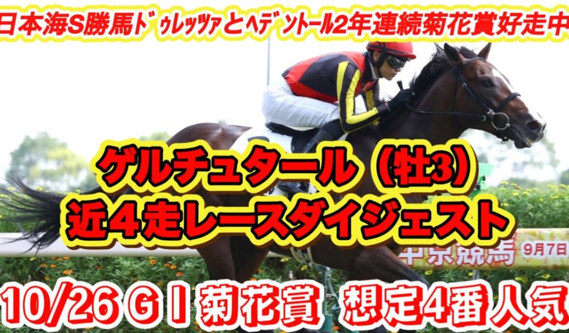 【ゲルチュタール】G I菊花賞想定4番人気！2年連続菊花賞好走中日本海S勝馬の近4走レースダイジェスト