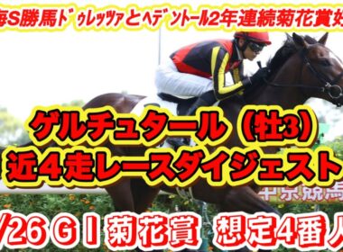 【ゲルチュタール】G I菊花賞想定4番人気！2年連続菊花賞好走中日本海S勝馬の近4走レースダイジェスト