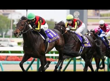 皐月賞馬ミュージアムマイル、秋初戦快勝スタート／セントライト記念