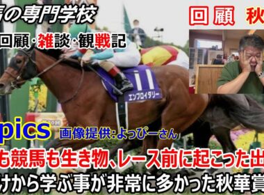 【秋華賞2025】回顧・雑談・観戦記 負けて学ぶ事が多かった今年の秋華賞 やはり競馬も馬も馬場も生き物ですね