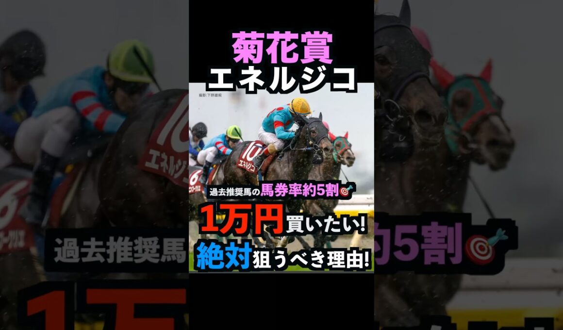 【菊花賞2025】1万円買いたい！エネルジコを絶対に狙うべき理由！#菊花賞2025 #菊花賞 #エネルジコ #競馬予想tv #うまログ #しろクロ競馬 #競馬予想 #shorts