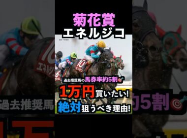 【菊花賞2025】1万円買いたい！エネルジコを絶対に狙うべき理由！#菊花賞2025 #菊花賞 #エネルジコ #競馬予想tv #うまログ #しろクロ競馬 #競馬予想 #shorts