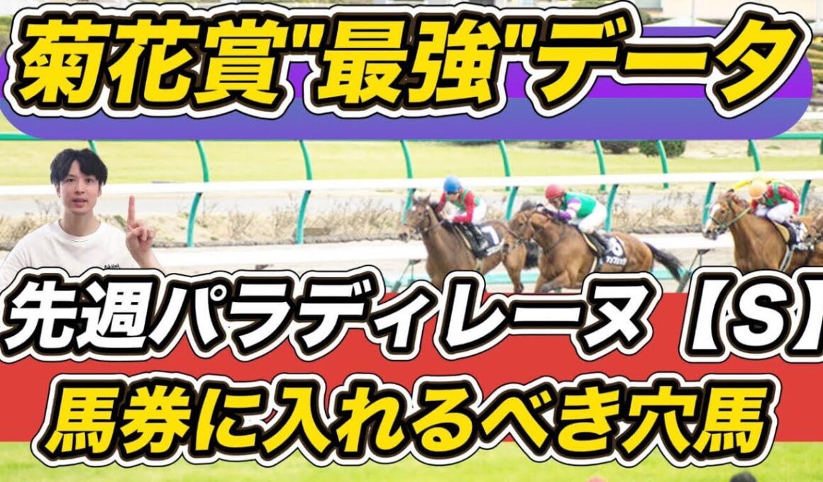 【菊花賞2025】エリキングら出走馬の"最強データ"紹介！　「1.1.0.0」想定8人気以下で馬券に入れるべき穴馬は？