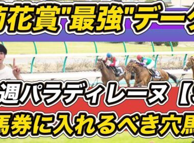 【菊花賞2025】エリキングら出走馬の"最強データ"紹介！　「1.1.0.0」想定8人気以下で馬券に入れるべき穴馬は？