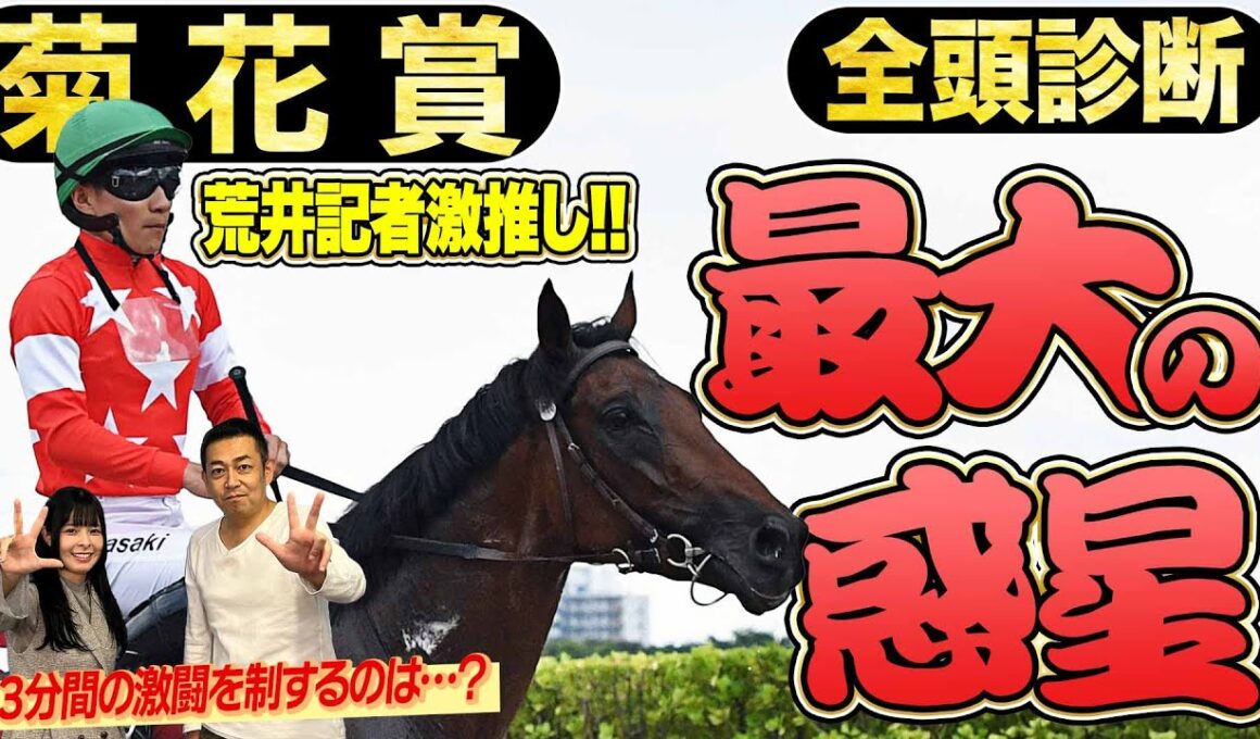 《東スポ競馬ニュース》【菊花賞2025】全頭診断！荒井記者激推しの『本当はS評価にしたい馬』とは！？競馬記者が解説します