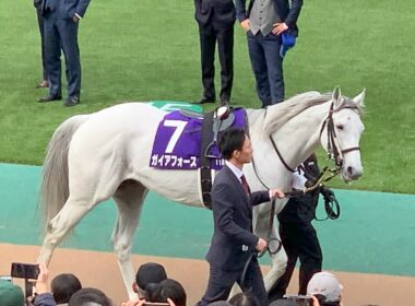 【現地撮影】フェブラリーステークス　ペプチドナイル　2024年2月18日