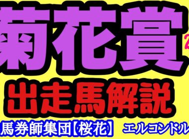 エルコンドル氏の菊花賞2025出走馬解説！！いよいよクラシック三冠最終戦！皐月賞馬とダービー馬が不在で混戦模様！最も強い馬になるのはどの馬か？！