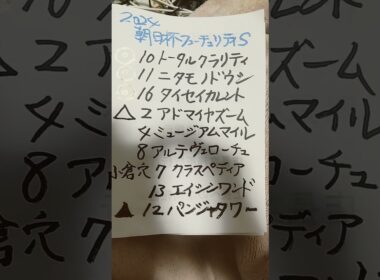 馬券王への道「朝日杯フューチュリティＳ」 #youtube