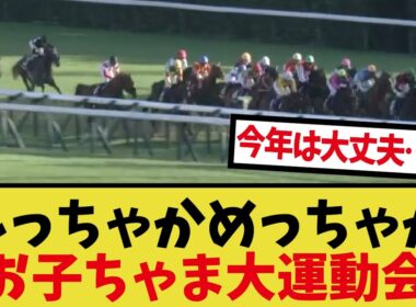 「菊花賞楽しみやなぁ！去年どんなやったっけ？」に対するみんなの反応集
