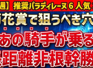 【菊花賞2025】穴馬を探せ！エリキング、エネルジコを押しのけて馬券に入る条件は！？